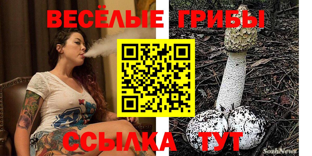 Галлюциногенные грибы Psilocybine cubensis Выборг